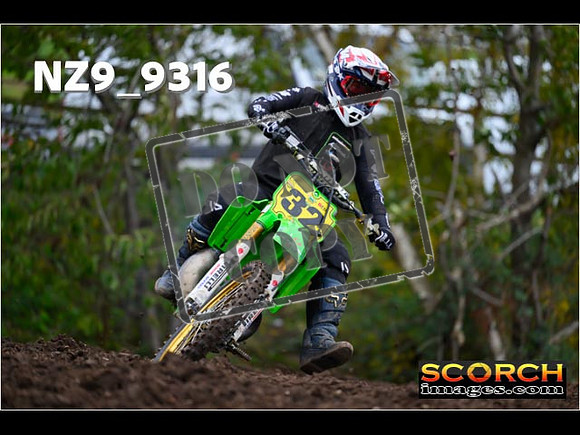 Experts-310