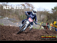 Experts-009