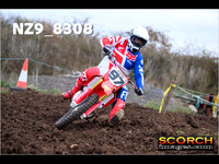 Experts-014