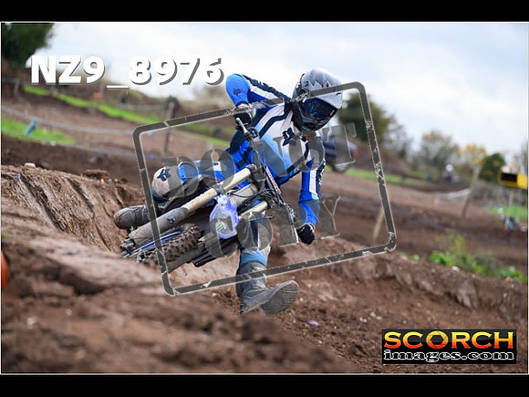 IntersBlue-237
