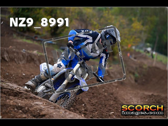 IntersBlue-252