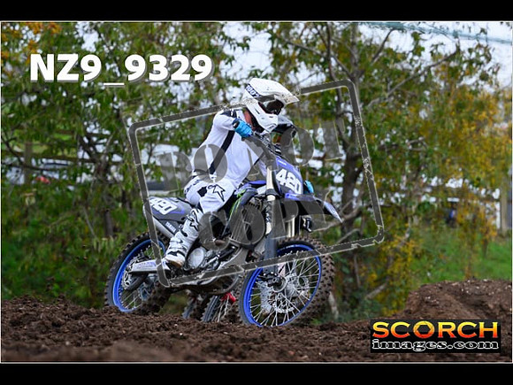 IntersBlue-274