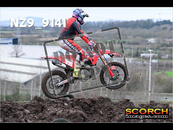 Experts-058