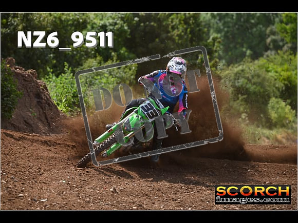 Experts-274