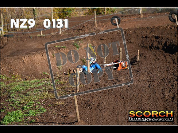 Experts-049