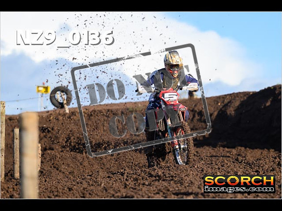Experts-054