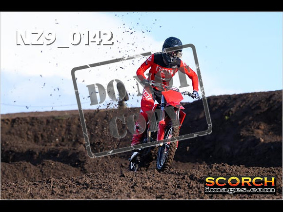 Experts-059