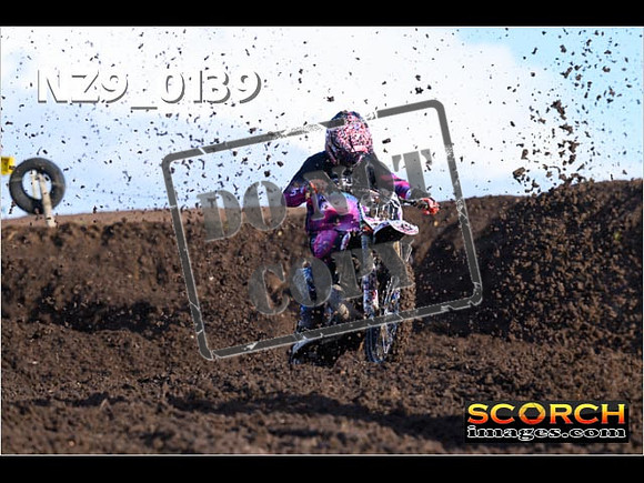 Experts-057
