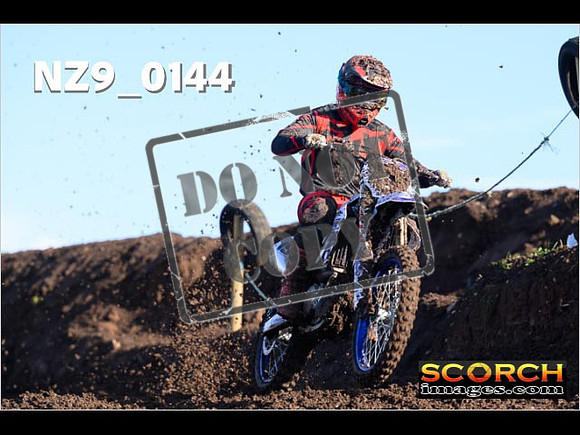 Experts-061