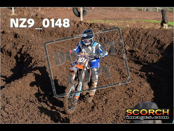 Experts-065