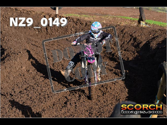 Experts-066