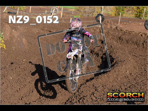 Experts-069