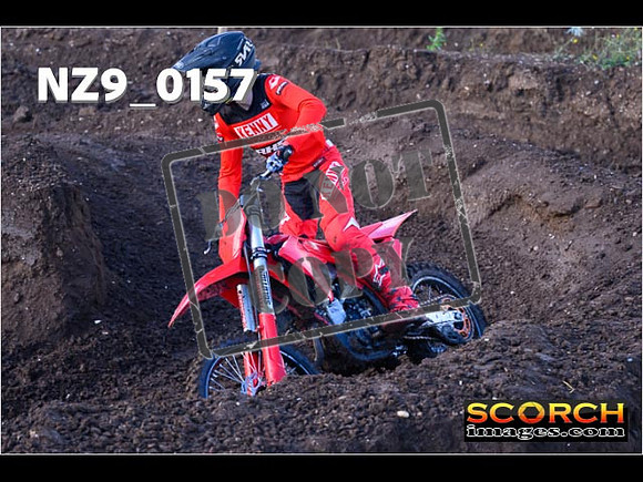 Experts-074