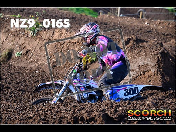 Experts-081