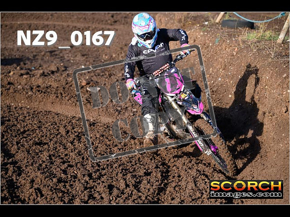 Experts-083