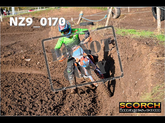 Experts-086
