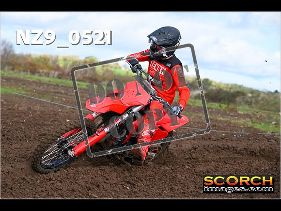 Experts-113