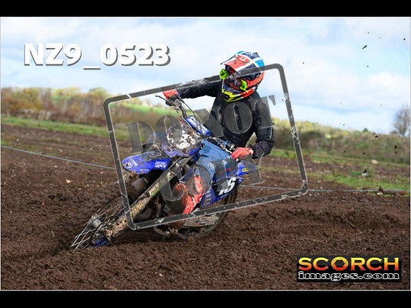 Experts-115