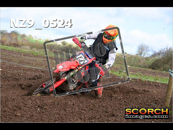 Experts-116
