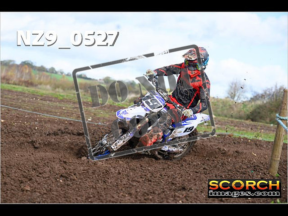 Experts-119