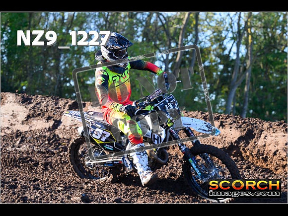 Experts-041