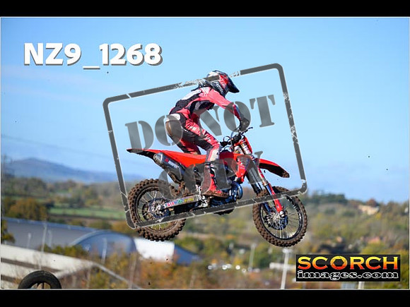 Experts-079