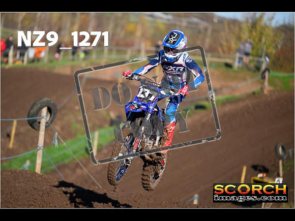 Experts-082