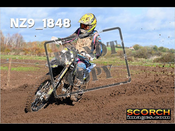 Experts-107