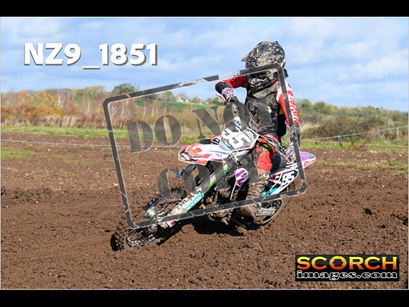 Experts-110