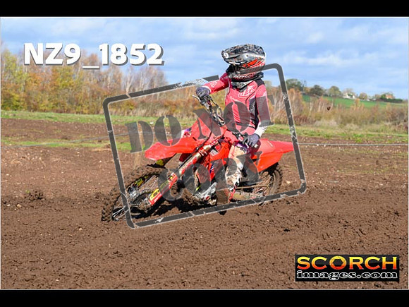 Experts-111