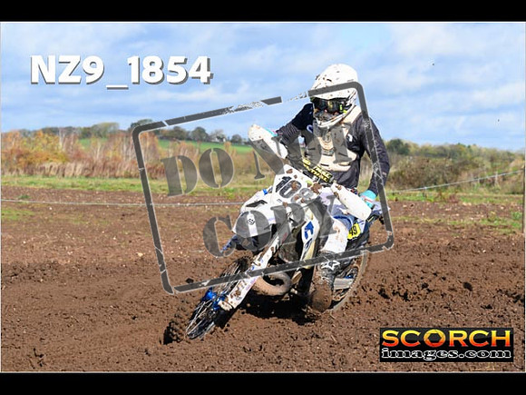 Experts-113