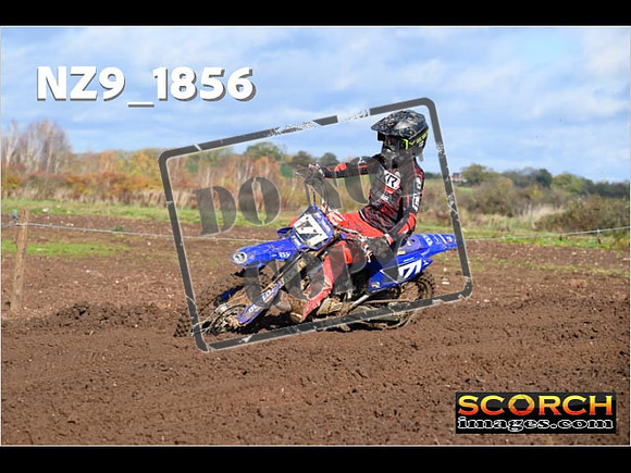 Experts-115