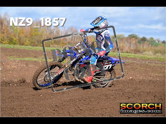 Experts-116