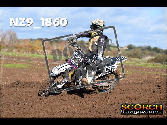 Experts-118