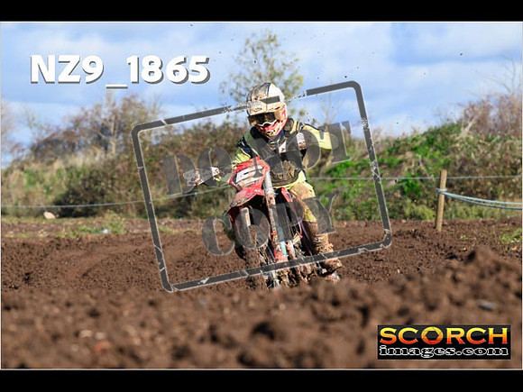 Experts-123