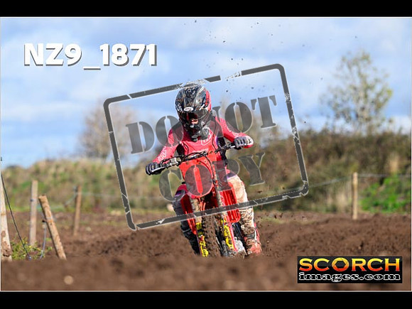 Experts-129
