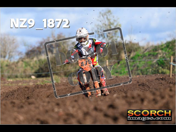 Experts-130