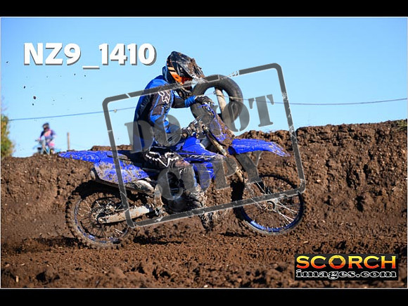 IntersBlue-131