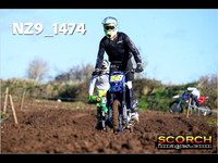 IntersGreenOrange-017