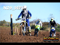 IntersGreenOrange-016