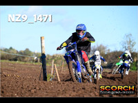 IntersGreenOrange-014