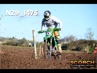 IntersGreenOrange-018