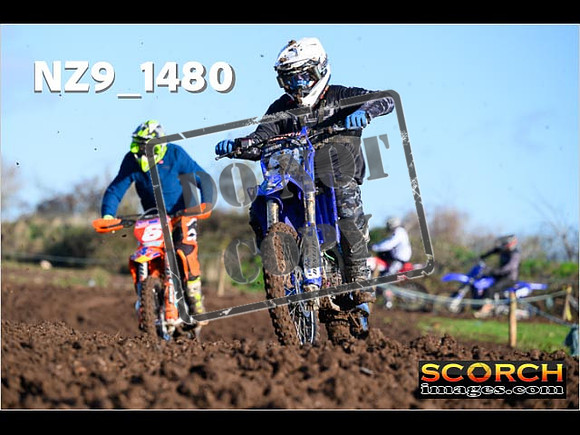 IntersGreenOrange-023