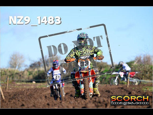 IntersGreenOrange-025