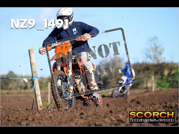 IntersGreenOrange-033