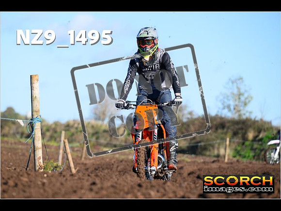 IntersGreenOrange-037