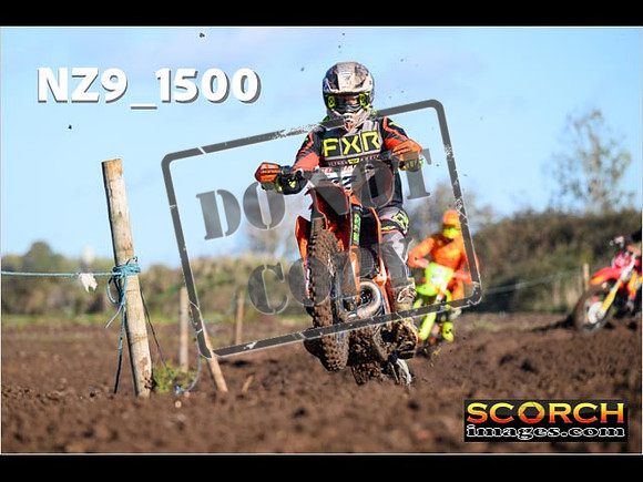 IntersGreenOrange-042