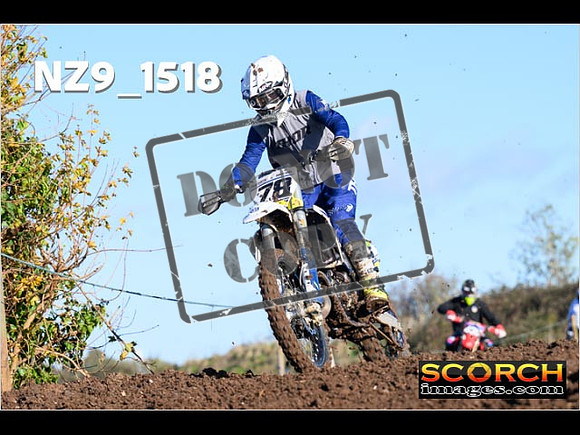 IntersGreenOrange-059