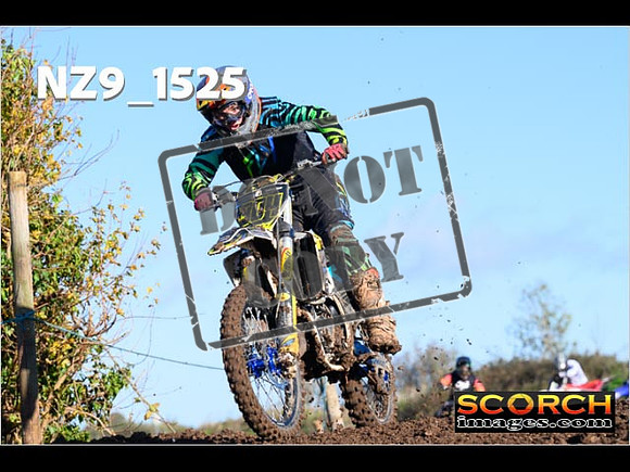 IntersGreenOrange-066