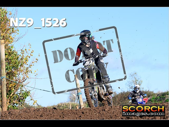 IntersGreenOrange-067